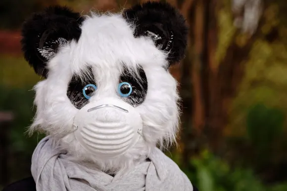 BetOriginal Casino Soporte